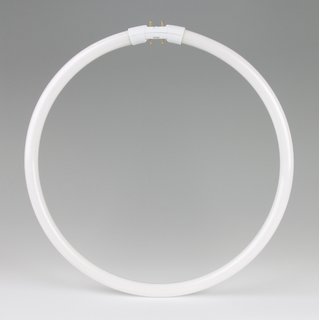 Osram T5 Ringform Leuchtstofflampe 22W/840 kaltwei