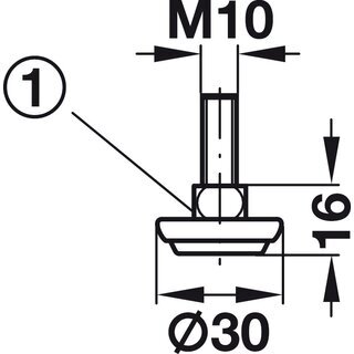 Hfele M10 Verstellschraube Regulierschraube Stellschraube Stellfu Mbelfu Futeller 19mm