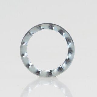 Fcherscheibe 15x10,5x0,5 mm &ndash; Metall, verzinkt (fr M10 Gewinderohr)