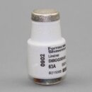 Diazed Sicherungseinsatz DIII 63A 500V –...