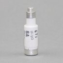 Neozed Sicherungs Schmelzeinsatz D01 6A grn &ndash; 10...