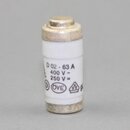 Neozed Schmelzeinsatz D02 63A kupfer &ndash; 10 St�ck