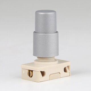 Lampen Druck-Einbauschalter silber &ndash; 1-polig, 250V/2A, Spezialknopf, M12 Zentralbefestigung