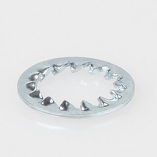 Fcherscheibe IZ17,0 DIN 6798 &ndash; Metall, verzinkt (fr M16 u. 3/8 Zoll Gewinderohr)