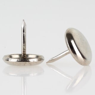 Stuhlbeinnagel Mbelgleiter 20 mm Metall vernickelt &ndash; Bodenschoner