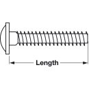 Häfele Gewindeschraube M4x1 Tellerkopf Kombi-Kreuzschlitz 10x15mm